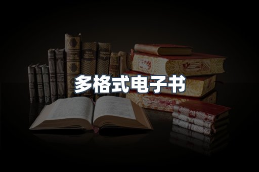 海外电子书